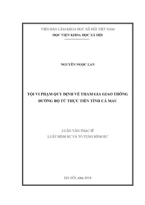 Luận văn thạc sĩ tội vi phạm quy định về tham gia giao thông đường bộ từ thực tiễn tỉnh cà mau