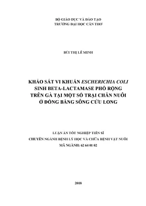 Luận án tiến sĩ khảo sát vi khuẩn escherichia coli sinh beta lactamase phổ rộng trên gà tại một số trại chăn nuôi ở đồng bằng sông cửu long