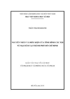 Luận văn thạc sĩ nguyên nhân và điều kiện của tình hình các tội về mại dâm tại thành phố hồ chí minh