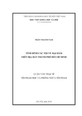 Luận văn thạc sĩ tình hình các tội về mại dâm trên địa bàn thành phố hồ chí minh