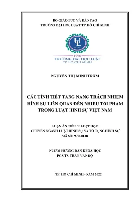 Các tình tiết tăng nặng tnhs liên quan đến nhiều tội phạm trong luật hình sự việt nam