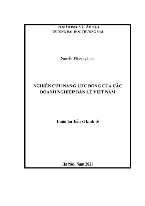 Nghiên cứu năng lực động của các doanh nghiệp bán lẻ việt nam