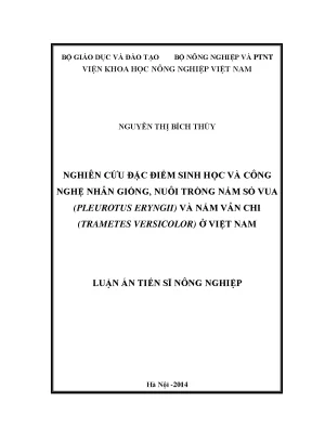 Nghiên cứu đặc điểm sinh học và công nghệ nhân giống nuôi trồng nấm sò vua pleurotus eryngii và nấm vân chi trametes versicolor ở việt nam