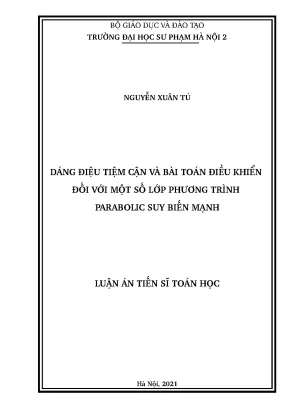 Dáng điệu tiệm cận và bài toán điều khiển đối với một số lớp phương trình parabolic suy biến mạnh