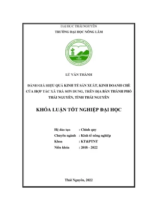Đánh giá hiệu quả kinh tế sản xuất kinh doanh chè của hợp tác xã trà sơn dung thành phố thái nguyên tỉnh thái nguyên