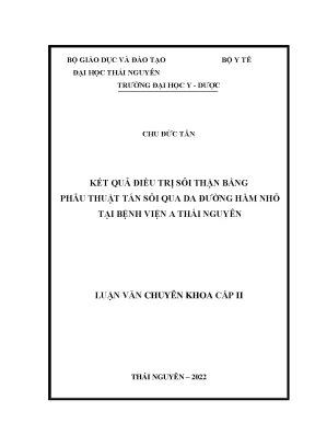 Kết quả điều trị sỏi thận bằng phẫu thuật tán sỏi qua da đường hầm nhỏ tại bệnh viện a thái nguyên