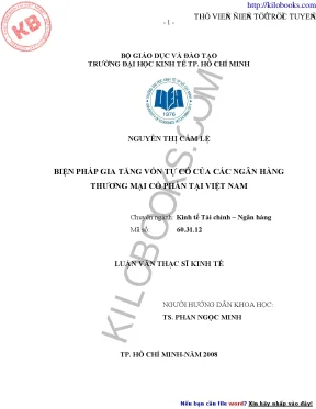 Biện pháp gia tăng vốn tự có của các ngân hàng thương mại cổ phần tại việt nam