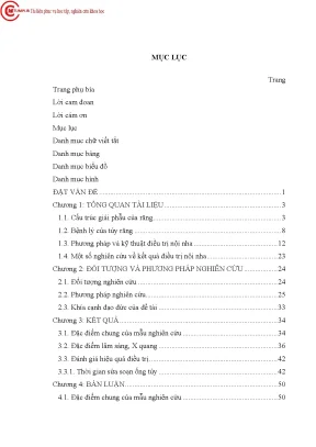 Nghiên cứu đặc điểm lâm sàng x quang đánh giá kết quả điều trị nội nha bằng trâm protaper tay và cổ điển trên bệnh nhân có bệnh lý tủy nhóm răng trước hàm trên tại bệnh viện trường đạ