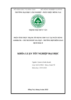 Phân tích thực trạng tín dụng cho vay tại ngân hàng agribank chi nhánh bù gia mập điểm giao dịch đăk ơ
