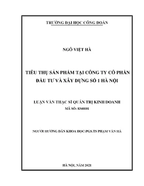 Phân tích tình hình tiêu thụ sản phẩm danh nghiệp tiêu thụ sản phẩm xây dựng của công ty xây dựng