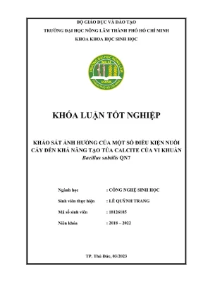 Khóa luận tốt nghiệp công nghệ sinh học khảo sát ảnh hưởng của một số điều kiện nuôi cấy đến khả năng tạo tủa calcite của vi khuẩn bacillus subtilis qn7