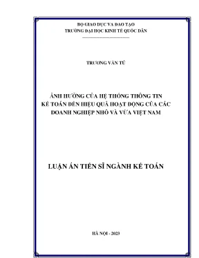 Ảnh hưởng của hệ thống thông tin kế toán đến hiệu quả hoạt động của các doanh nghiệp nhỏ và vừa việt nam