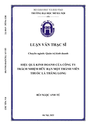 Hiệu quả kinh doanh của công ty trách nhiệm hữu hạn một thành viên thuốc lá thăng long