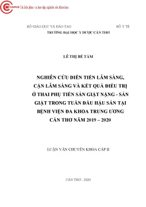 Nghiên cứu diễn tiến lâm sàng cận lâm sàng và kết quả điều trị ở thai phụ tiền sản giật nặng sản giật trong tuần đầu hậu sản tại bệnh viện đa khoa trung ương cần thơ năm 2019 2020