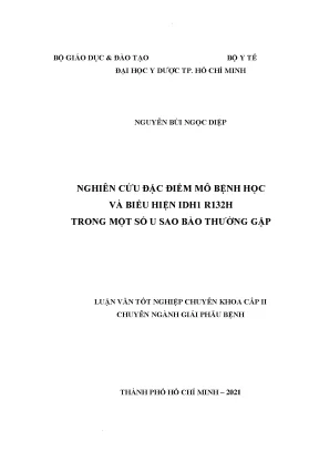 Nghiên cứu đặc điểm mô bệnh học và biểu hiện idh1 r132h trong một số u sao bào thường gặp