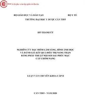 Nghiên cứu đặc điểm lâm sàng hình ảnh học và đánh giá kết quả điều trị nang thận bằng phẫu thuật nội soi sau phúc mạc cắt chỏm nang