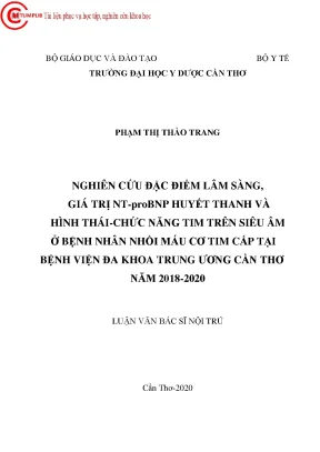 Nghiên cứu đặc điểm lâm sàng giá trị nt probnp huyết thanh và hình thái chức năng tim trên siêu âm ở bệnh nhân nhồi máu cơ tim cấp tại bệnh viện đa khoa trung ương cần thơ năm 2018 20