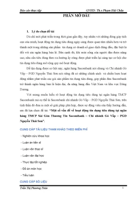 Một số vấn đề về hoạt động tín dụng tiêu dùng tại ngân hàng tmcp sài gòn thương tín sacombank chi nhánh gò vấp pgd nguyễn thái sơn