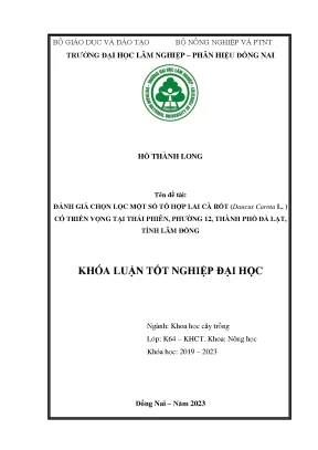 Đánh giá chọn lọc một số tổ hợp lai cà rốt có triển vọng tại đà lạt lâm đồng