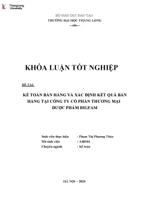 Kế toán bán hàng và xác định kết quả bán hàng tại công ty cptm dược phẩm bigfam