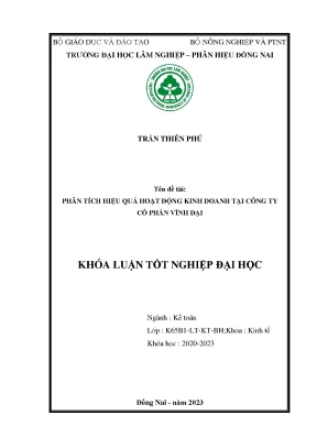 Phân tích hiệu quả hoạt động kinh doanh tại công ty cổ phần vĩnh đại