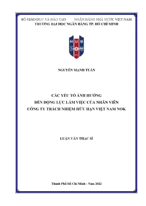 Các yếu tố ảnh hưởng đến động lực làm việc của nhân viên công ty trách nhiệm hữu hạn việt nam nok