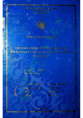 Thử nghiệm trồng nấm rơm trên giá thể hỗn hợp rơm và lá keo lai dưới tán rừng trồng đã khép tán