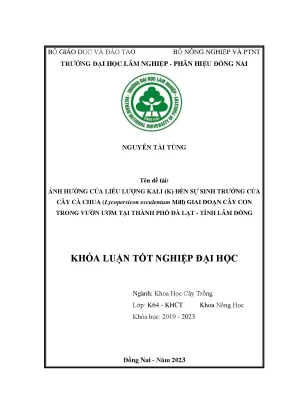 Ảnh hưởng của các mức độ phân k đến sinh trưởng và phát triển của cây cà chua lycopersicon esculentum mill trong vườn ươm