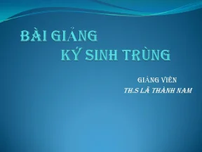 Ký sinh trùng bài 3 giun sán