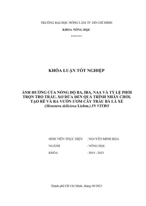 Khóa luận tốt nghiệp nông học ảnh hưởng của nồng độ ba iba naa và tỷ lệ phối trộn tro trấu xơ dừa đến quá trình nhân chồi tạo rễ và ra vườn ươm cây trầu bà lá xẻ monstera deliciosa liebm in vitro