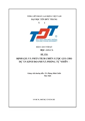 Định giá và phân tích chiến lược giá cho dự án kinh doanh xà phòng tự nhiên