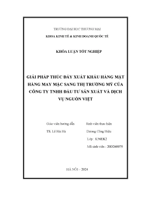 Giải pháp thúc đẩy xuất khẩu mặt hàng may mặc sang thị trường mỹ của công ty tnhh đầu tư sản xuất và dịch vụ nguồn việt