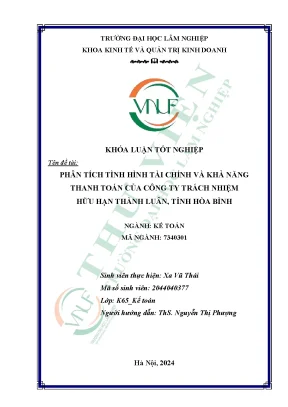 Phân tích tình hình tài chính và khả năng thanh toán của công ty trách nhiệm hữu hạn thành luân tỉnh hòa bình
