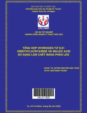 Tổng hợp hydrogen từ n n dimethylacryamide và maleic acid sử dụng làm chất mang phân lân