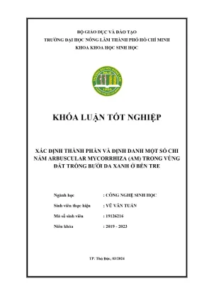 Khóa luận tốt nghiệp công nghệ sinh học xác định thành phần và định danh một số chi nấm arbuscular mycorrhiza am trong vùng đất trồng bưởi da xanh ở bến tre
