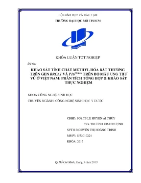 Khảo sát tính chất methyl hóa bất thường trên gen brca1 và p16ink4a trên bộ mẫu ung thư vú ở việt nam phân tích tổng hợp khảo sát thực nghiệm