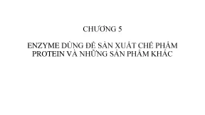 Vchapter công nghệ sản xuất enzyme 5