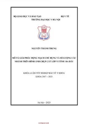 Mô tả giải phẫu động mạch chủ bụng và số lượng các nhánh trên hình ảnh chụp cắt lớp vi tính đa dãy