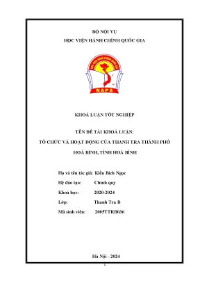 Tổ chức và hoạt động của thanh tra thành phố hoà bình tỉnh hoà bình