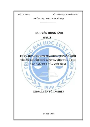 Khóa luận tốt nghiệp tự do hoá thương mại dịch vụ phân phối trong khuôn khổ wto và việc thực thi các cam kết của việt nam