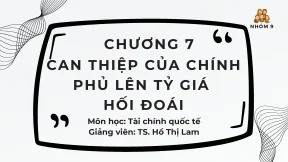 Chương 7 can thiệp của chính phủ lên tỷ giá hối đoái