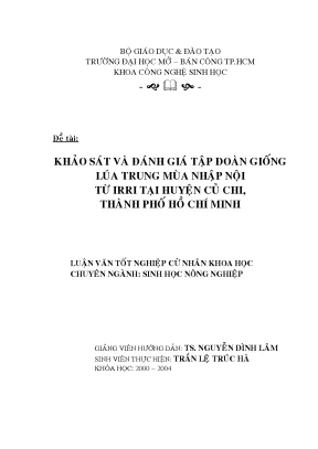Khảo sát và đánh giá tập đoàn giống lúa trung mùa nhập nội từ irri tại huyện củ chi thành phố hồ chí minh