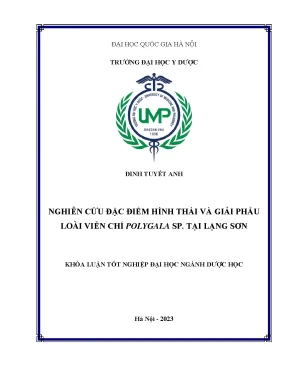 Khóa luận nghiên cứu đặc điểm hình thái và giải phẫu loài polygala sp tại lạng sơn