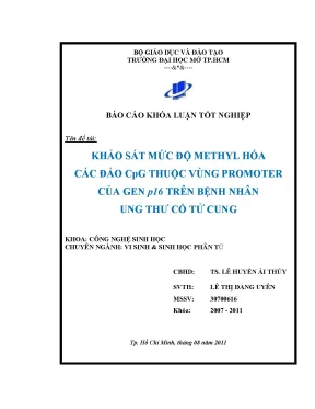 Khảo sát mức độ methyl hóa các đảo cpg thuộc vùng promoter của gen p16 trên bệnh nhân ung thư cổ tử cung