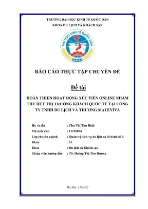 Chuyên đề thực tập hoàn thiện hoạt động xúc tiến online nhằm thu hút thị trường khách quốc tế tại công ty tnhh du lịch và thương mại eviva