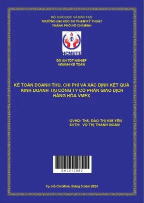 Kế toán doanh thu chi phí và xác định kết quả kinh doanh tại công ty cổ phần giao dịch hàng hóa vmex