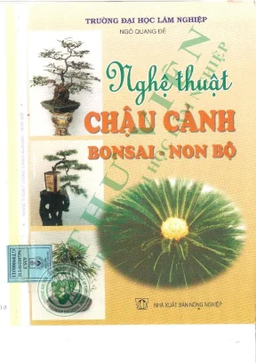 Nghệ thuật chậu cảnh bonsai non bộ