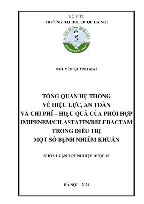 Nguyễn quỳnh mai tổng quan hệ thống về hiệu lực an toàn và chi phí hiệu quả của phối hợp imipenemcilastatinrelebactam trong điều trị một số bệnh nhiễm khuẩn