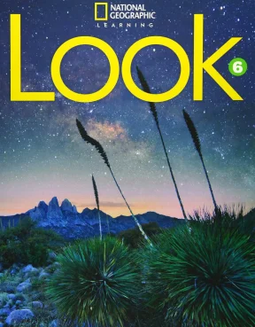 Look american 6 students book