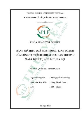 Đánh giá hiệu quả hoạt động kinh doanh của công ty trách nhiệm hữu hạn thương mại dịch vụ anh đức hà nội